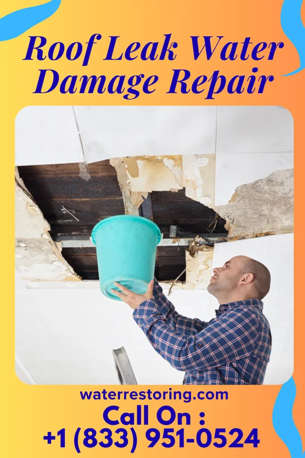 Roof Leak Water Damage Repair in Lone Oak, TN