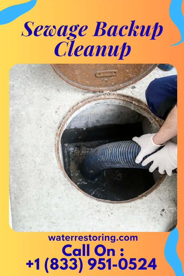 Sewage Backup Cleanup in Lone Oak, TN