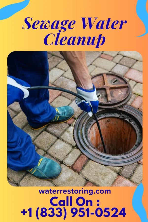 Sewage Water Cleanup in Lone Oak, TN
