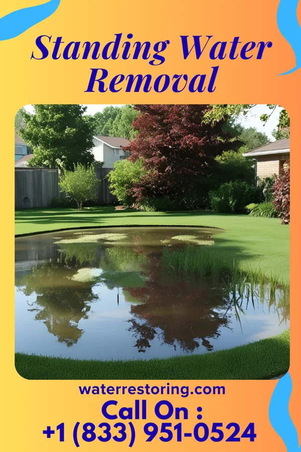 Standing Water Removal in Lone Oak, TN